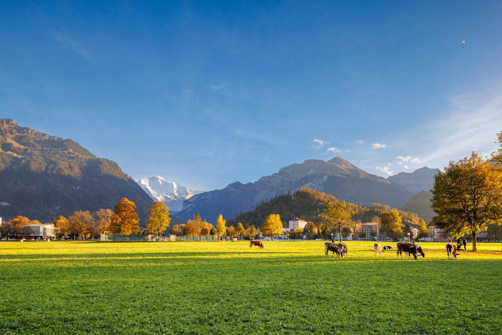 Hapimag Ferienwohnungen Interlaken Exterior foto